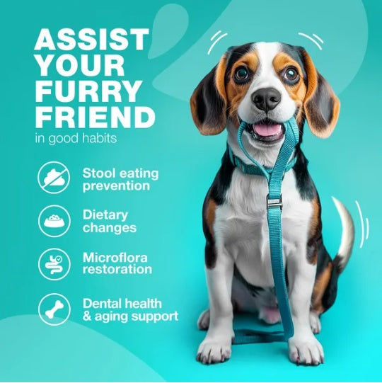 No Poo Chews For Dogs Coprophagia Deterrent For Dogs Forbid For Dogs Stool Eating Deterrent Dog Probiotics For Digestive Health Digestive Gut Immune Health Treats No Poop Eating For Dogs - 5 - CJ