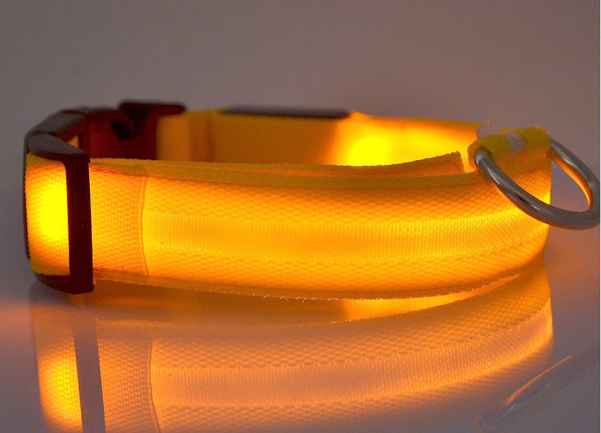 Nylon LED Pet Dog Luminous Collar Night Safety Flashing Glow in Dark Dog Cat Leash Adjustable Pet Supplies - 0 - CJ