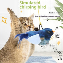 Vocal Simulation Squeaky Bird Cat Toy For Self - amusement - 0 - CJ