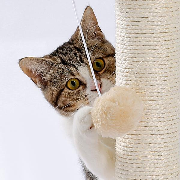 Indoor Cat Soft Scratching Board And Interactive Ball Track Toy Cat Rest And Grooming Supplies - 5 - cjdroshippping