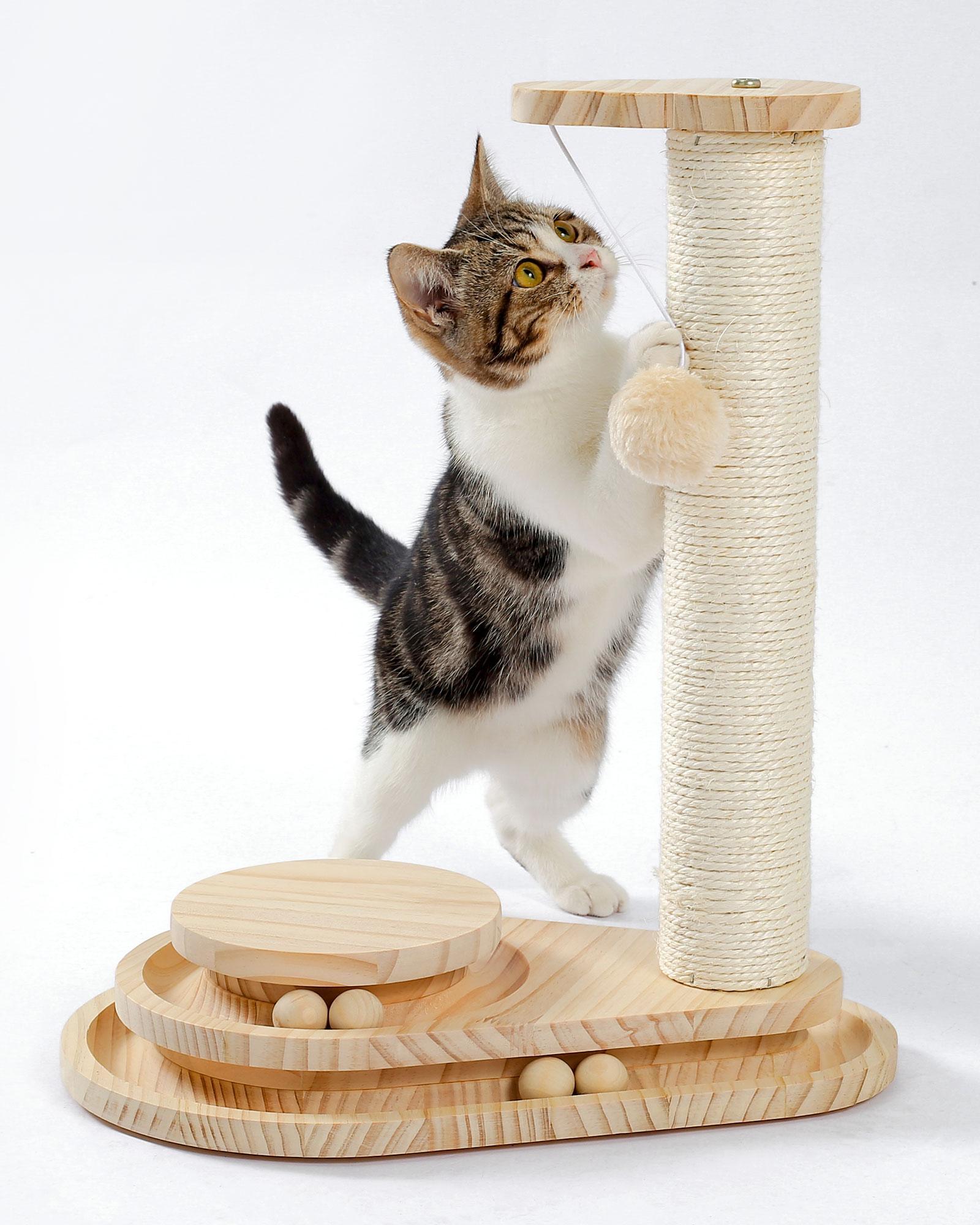 Indoor Cat Soft Scratching Board And Interactive Ball Track Toy Cat Rest And Grooming Supplies - 5 - cjdroshippping