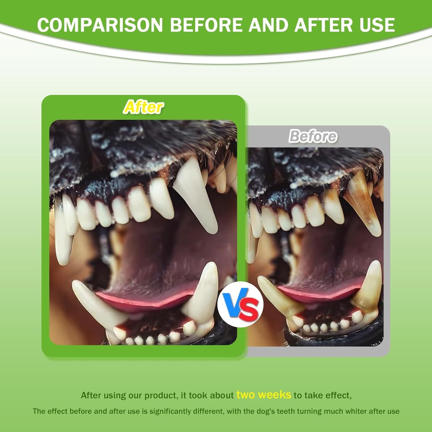 Pet Dental Powder - Freshens Breath, Protects Gums And Strengthens Teeth. An Essential For Daily Oral Care And General Dental Care. - 5 - CJ