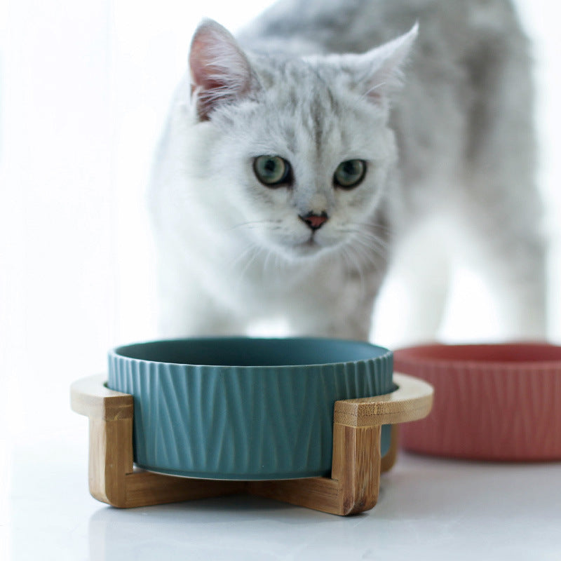Cat food bowl - 0 - CJ