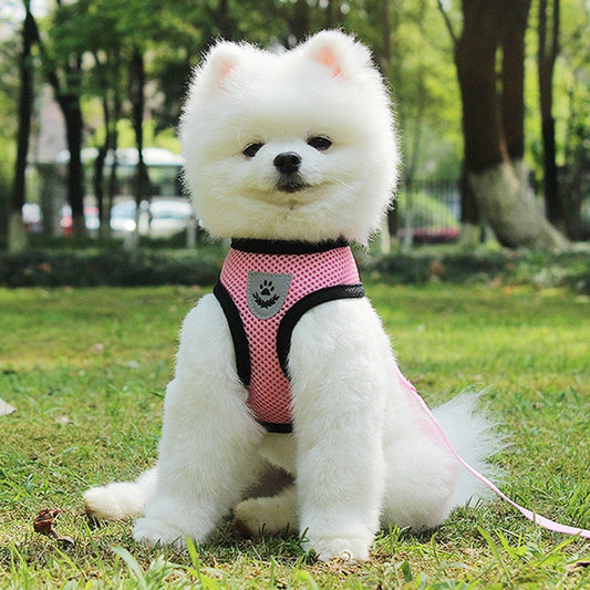 Pet Car Seat Belt Pet Leash - 0 - CJ
