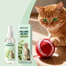 Long - lasting Fragrance Fun And Interactive Cat Spray For Pets. - 0 - CJ