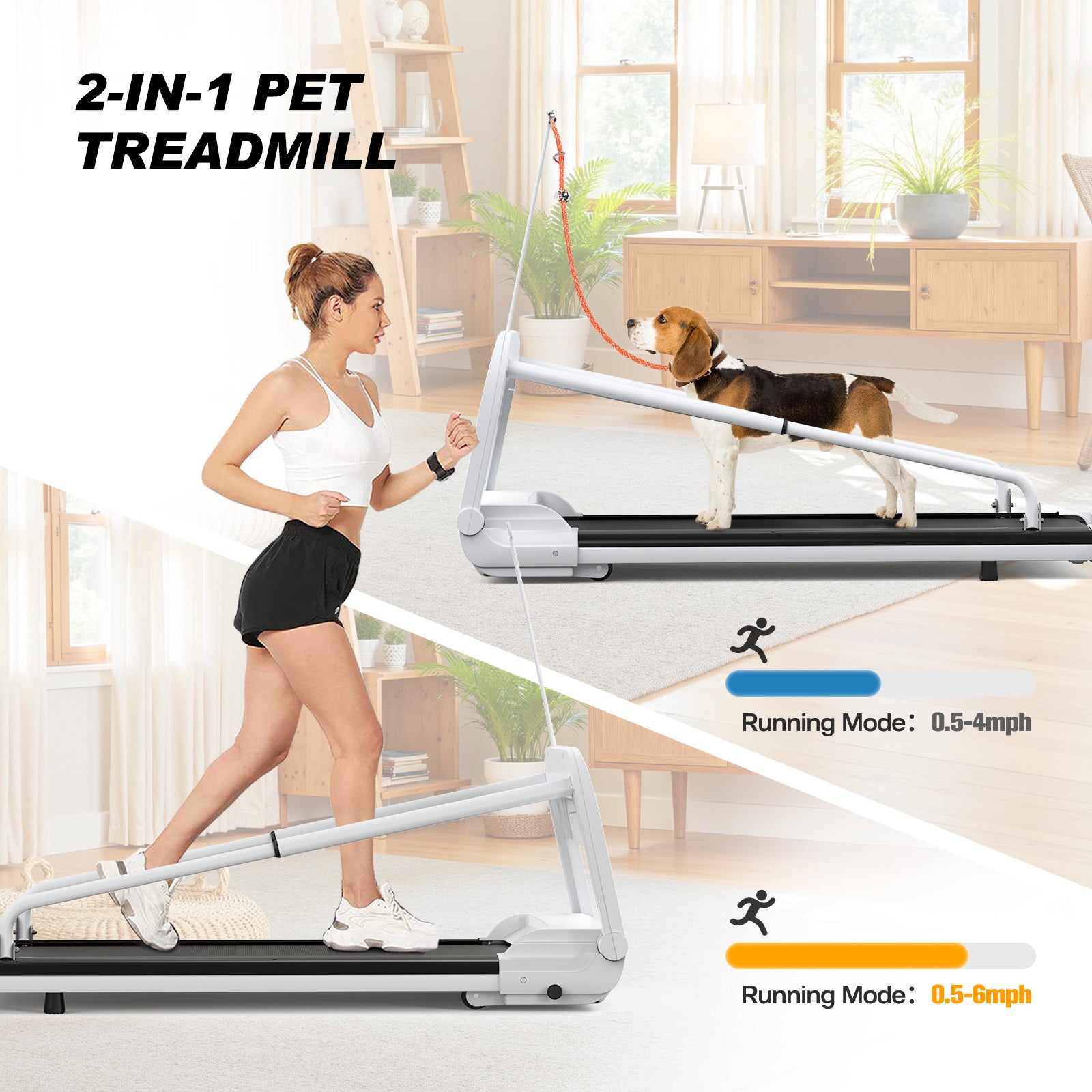 New Quiet Smart Pet Treadmill, Adjustable Speed, Perfect For Small Medium Dogs - 5 - CJ