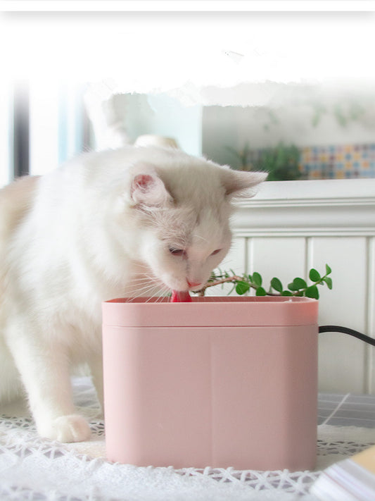 Pet Cat Smart Drinking Water Fountain - 0 - CJ