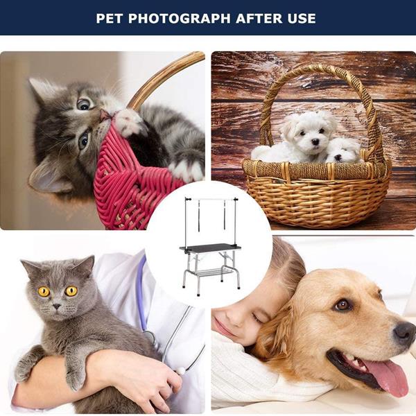 Pet Dog Grooming Table - 5 - cjdroshippping