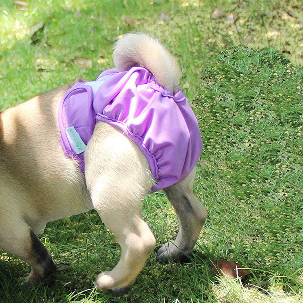 Pet Physiological Pants Dog Waterproof Menstrual Pants Velcro - 0 - CJ