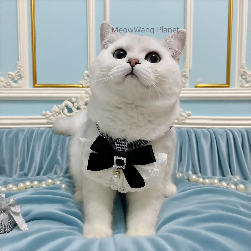 Dog Leash Cat Leash Luxury Lace Pet Harness Leash Set Elegant Inspired Adjustable Escape Proof Vest For Cats Small Dogs