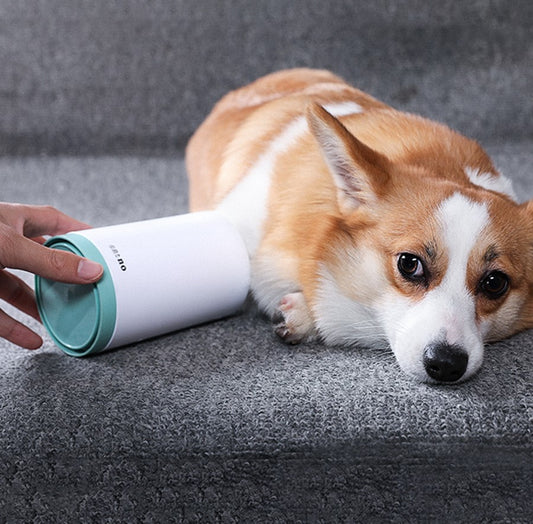 Portable Pet Paw Cleaner Cup Soft Silicone Comb - 0 - CJ