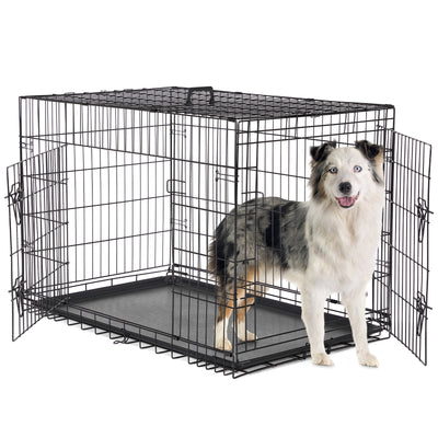 A Dog Cage With Two Doors - 5 - CJ