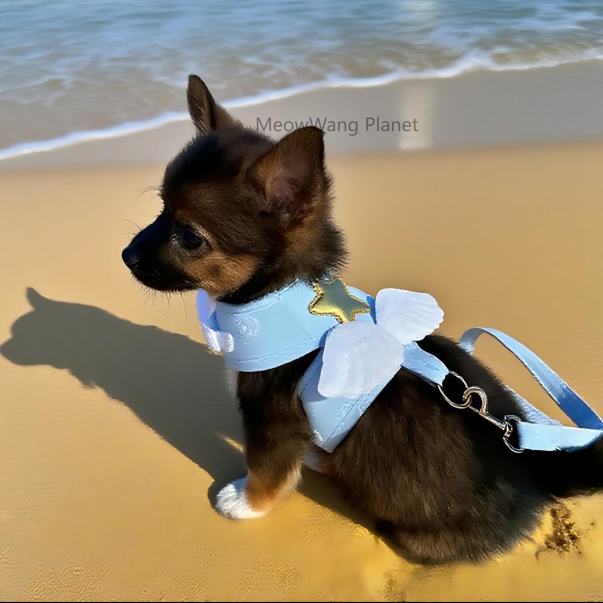 Dog Leash Cat Leash Heavenly Angel Wings Pet Harness Leash Set Luxury Adjustable Vest For Kittens Small Dogs Chic Secure Escape Proof Luxury Pet Gift For Cats Dogs