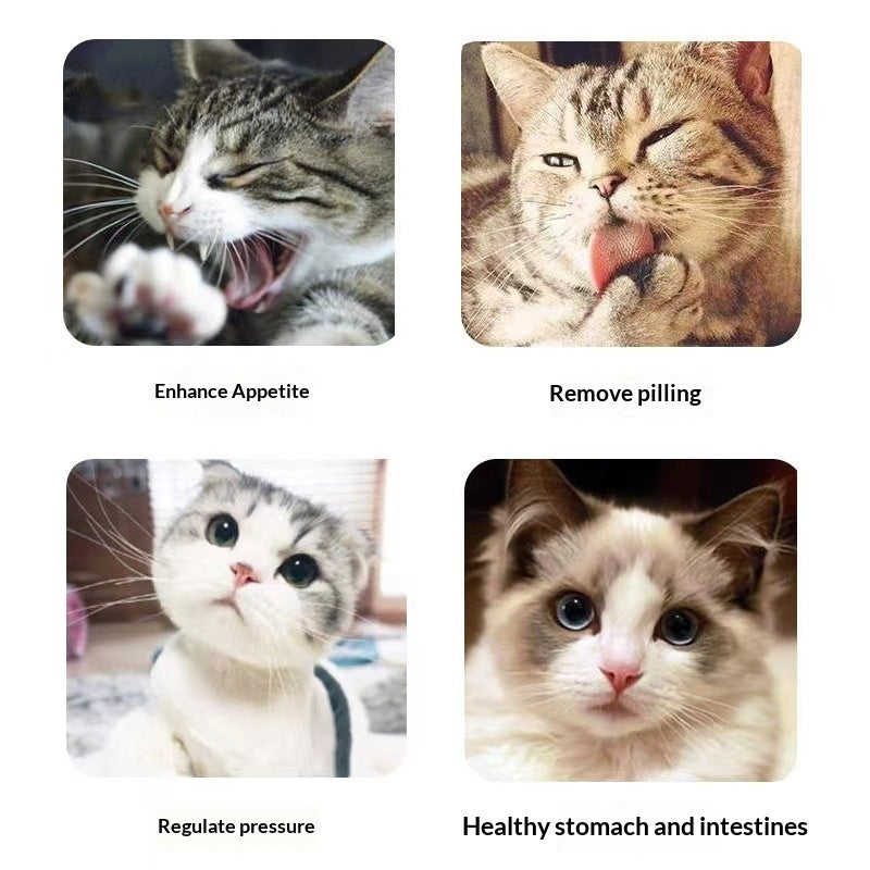 Catnip Cat Grass Cat Snacks Help With Hairball Removal And Oral Cleaning - 0 - CJ