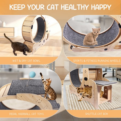 Cat Wheel 6 - in - 1 Cat Fitness Wheel - 5 - CJ
