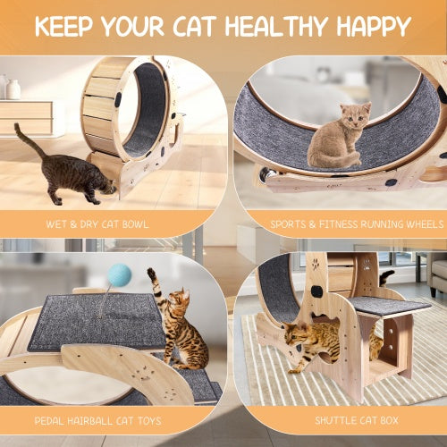 Cat Wheel 6 - in - 1 Cat Fitness Wheel - 5 - CJ