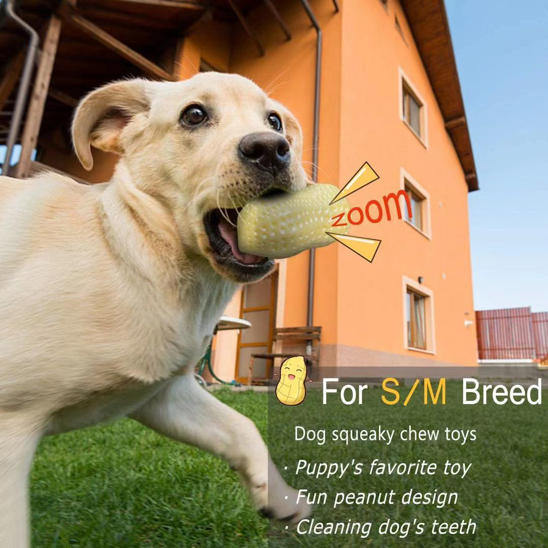 Funny Pet Dog Squeaky Toys For Small Middle Dogs Bite Resistant Puppy Cat Dogs Toys Pets Rubber Peanut Clean Tooth Chew Toy - 5 - CJ