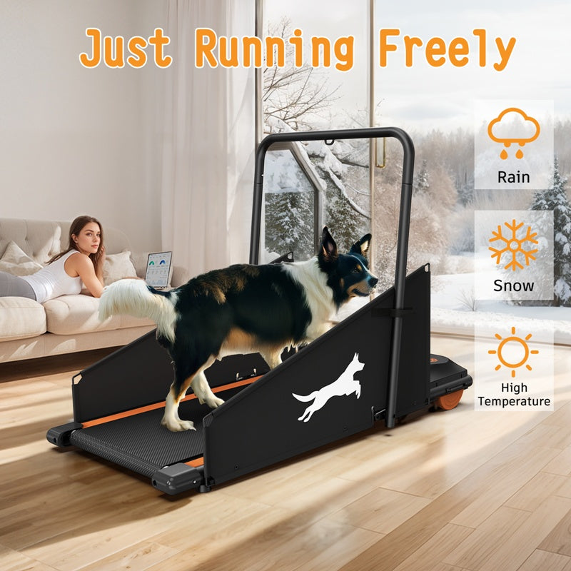 Dog Treadmill Small Dogs - Dog Treadmill For Medium Dogs - Dog Pacer Treadmill For Healthy & Fit Pets - Dog Treadmill Run Walk - 5 - CJ