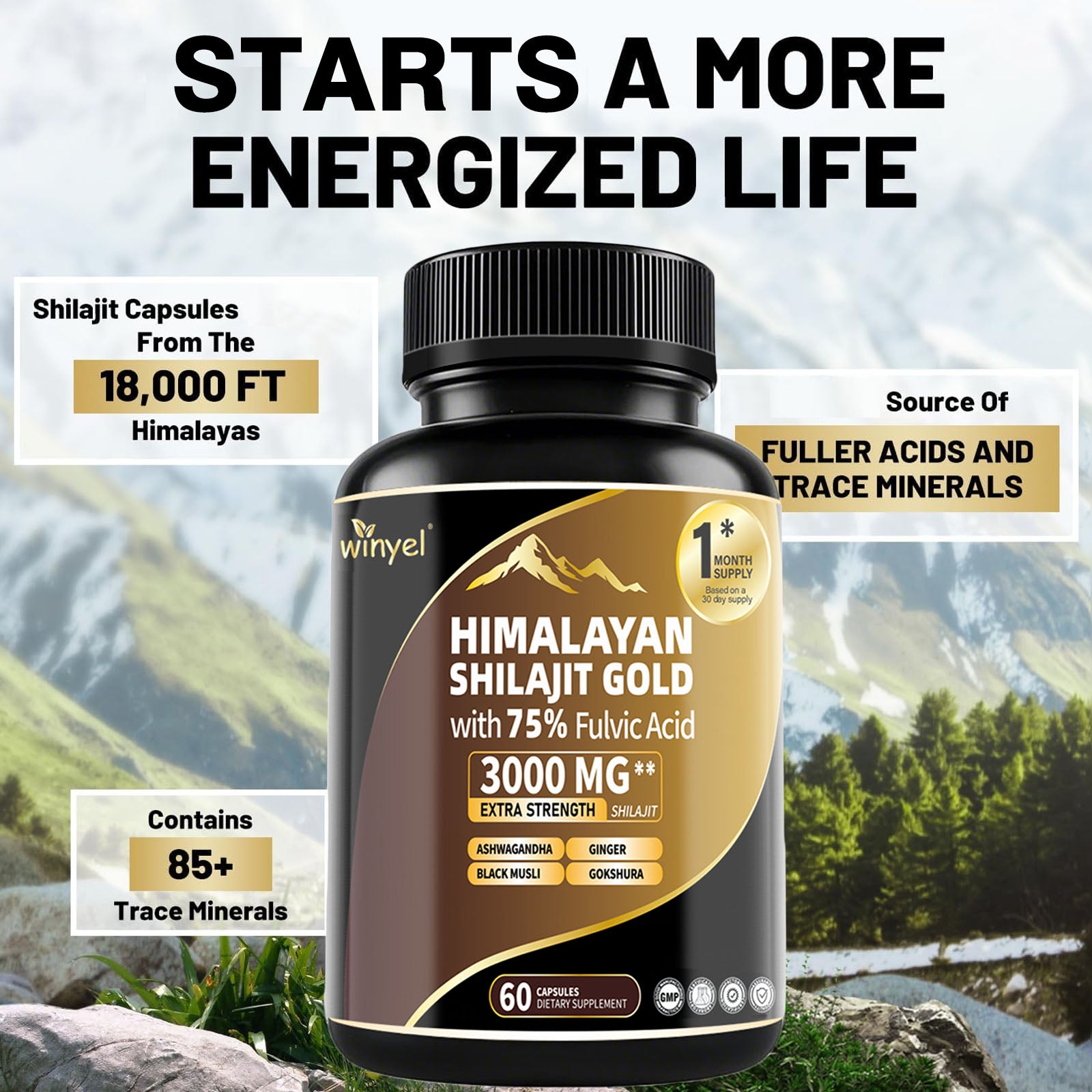 Shilajit Capsules, Ashwagandha, Gokshura, 85 Trace Minerals, High Potency Gold Grade Himalayan Shilajit Supplements, 60 Capsules For Women And Men - 5 - CJ