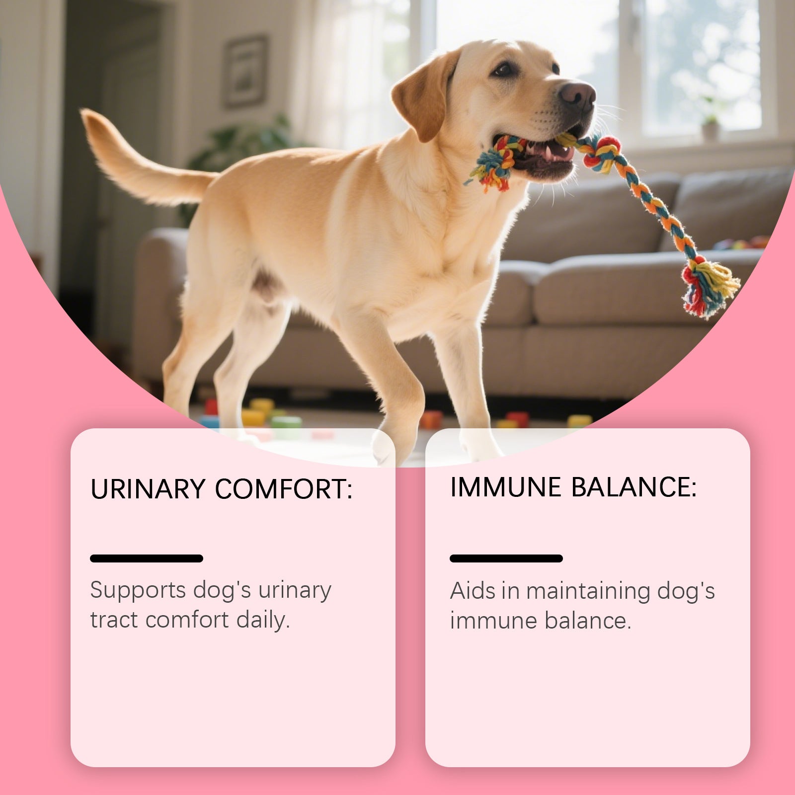 Dog - friendly Urinary Relief Drops - 0 - CJ