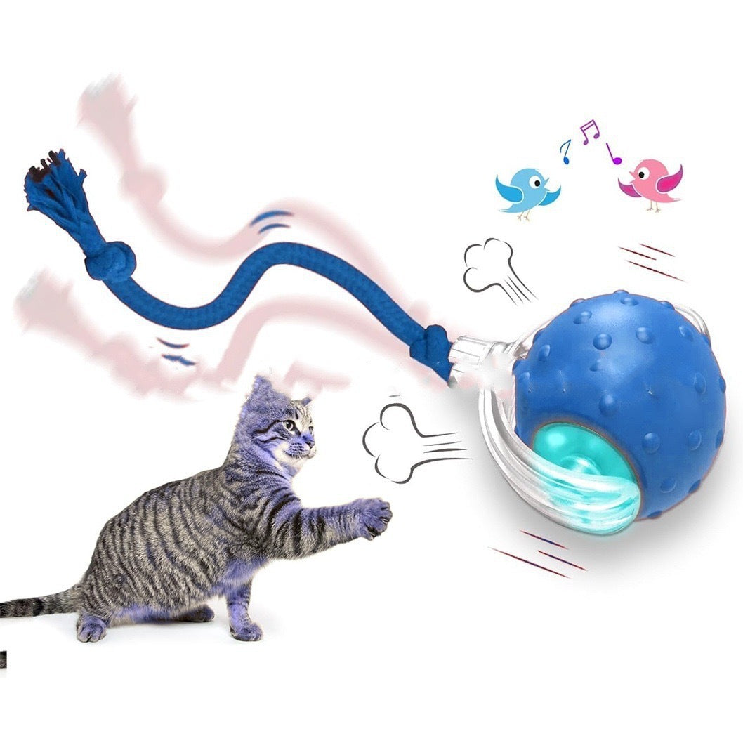 Interactive Cat Toy Ball Super Drive Cat Rolling Ball - 0 - CJ