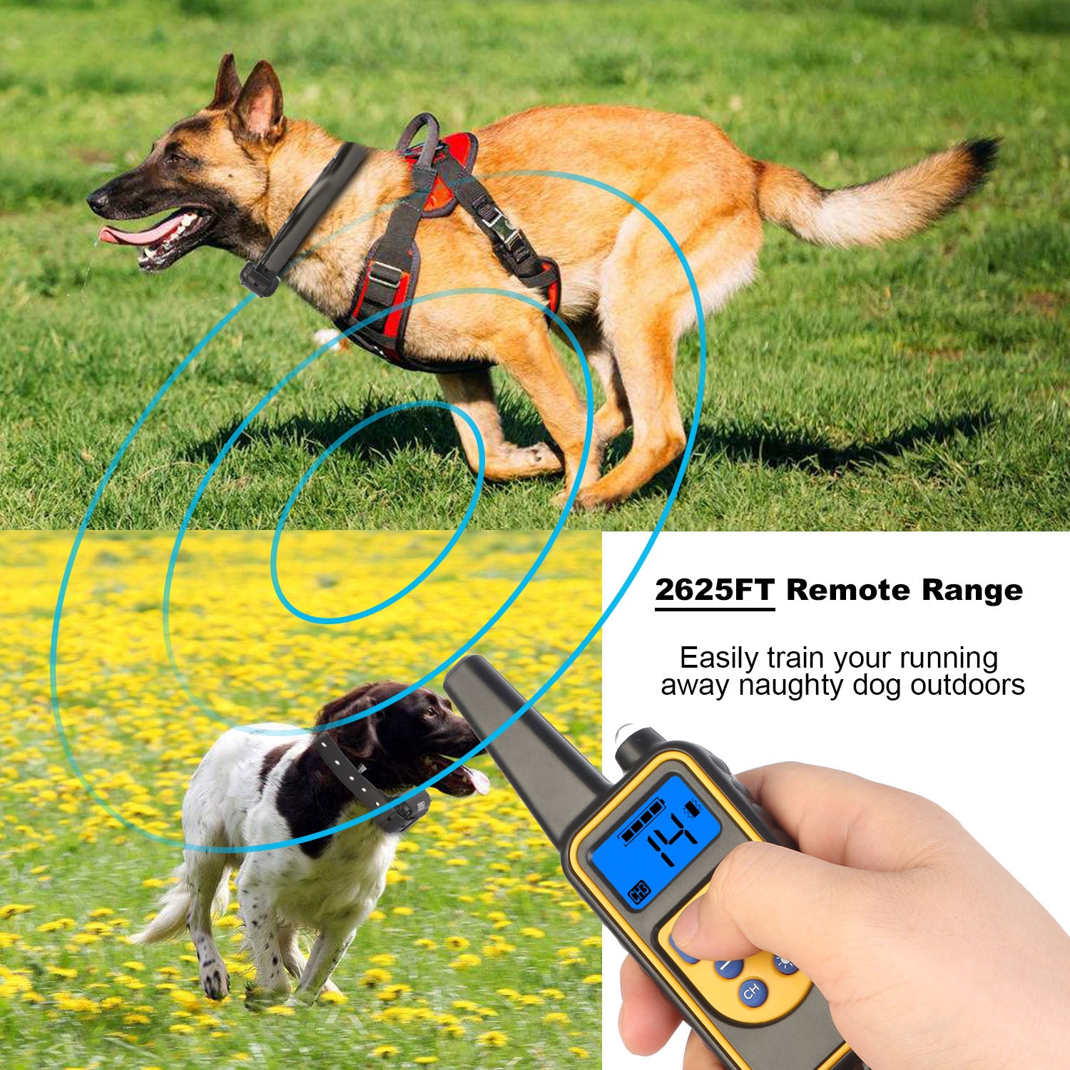 1Pc Dog Training Collar With Remote  IP67 Waterproof Pet Trainer 300mAh Rechargeable 875 Yard Remote Control 4 Modes Adjustable Level - 5 - CJ