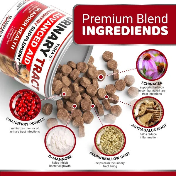 Dog UTI Treatment 170 Treats Cranberry Supplement For Dogs Bladder Control For Dogs - 5 - CJ