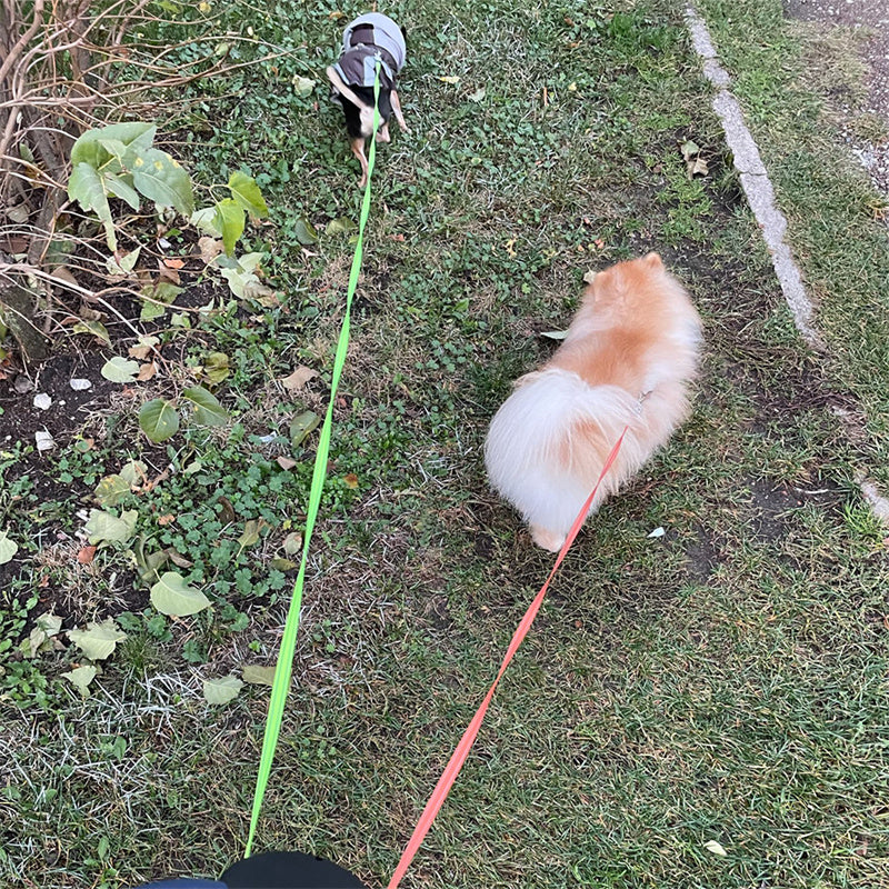 Retractable Dog Leash For Small Dogs Reflective Dual Pet Leash Lead 360 Swivel No Double Dog Walking Leash With Lights Pet Products - 0 - CJ