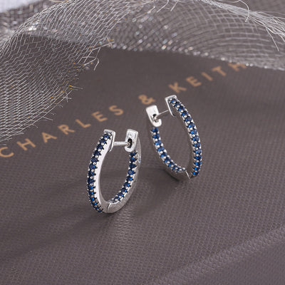 S925 Sterling Silver Small Group European And American Zircon Earrings For Women Simple And Cool - 4 - CJ