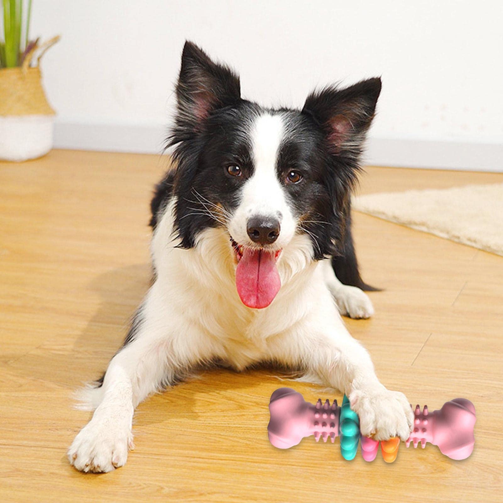 Dog Chew Toy Dog Bone Type  Dogs Teeth Cleaning Toys Indestructible TPR Bone Chewing Bite Resistant Teething Toys  Pet Products - 0 - CJ