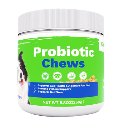 OEM Hot Sales Probiotics Chews For Pets Customized Shape - 5 - CJ