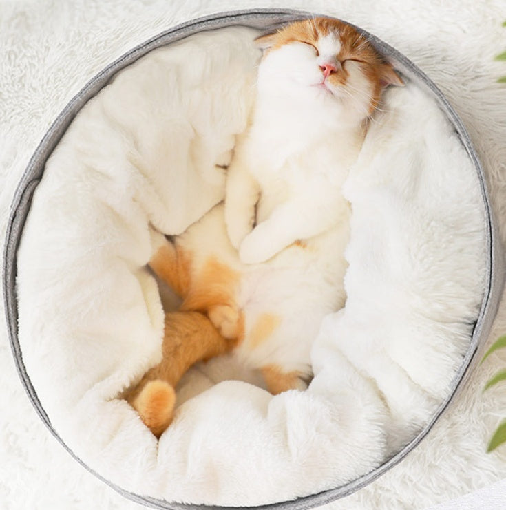 pet bed - 0 - CJ