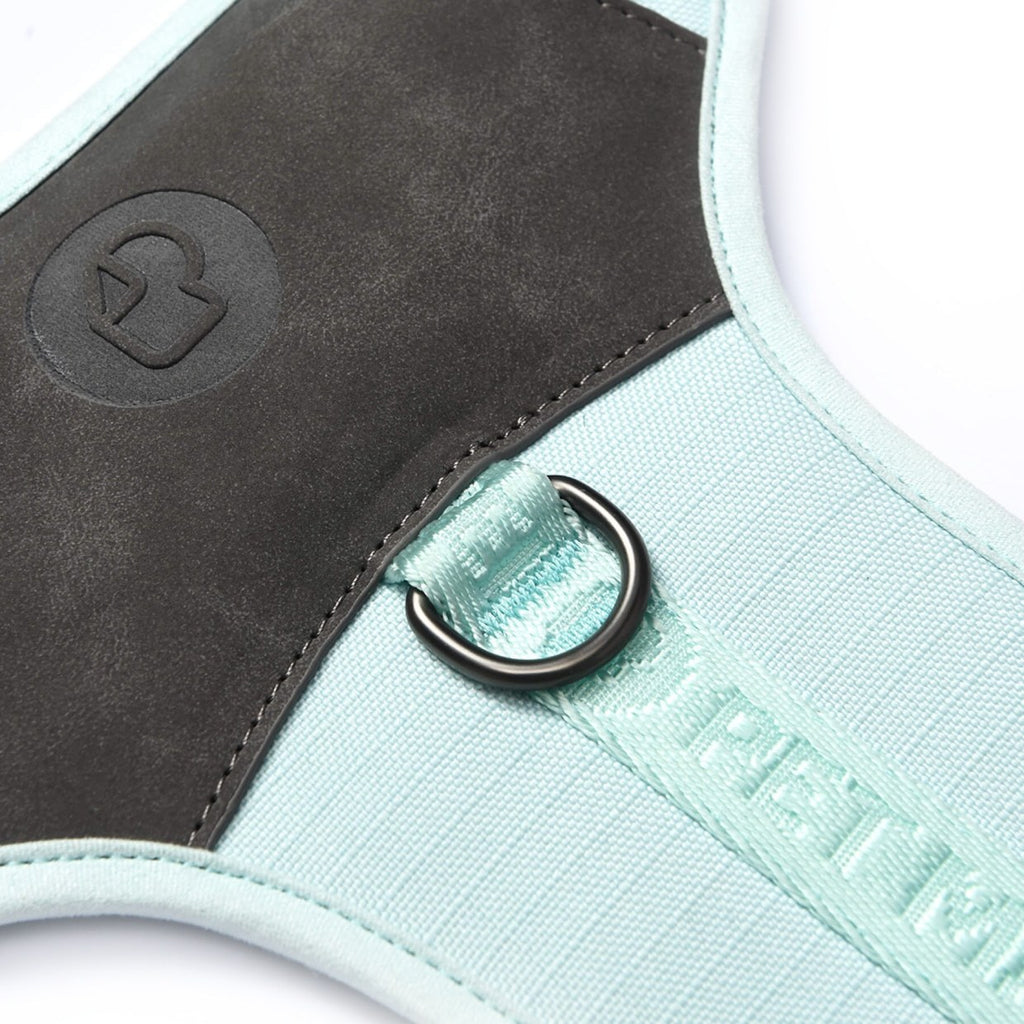 PETMARVEL Adjustable Embroidered Stylish Dog Harness