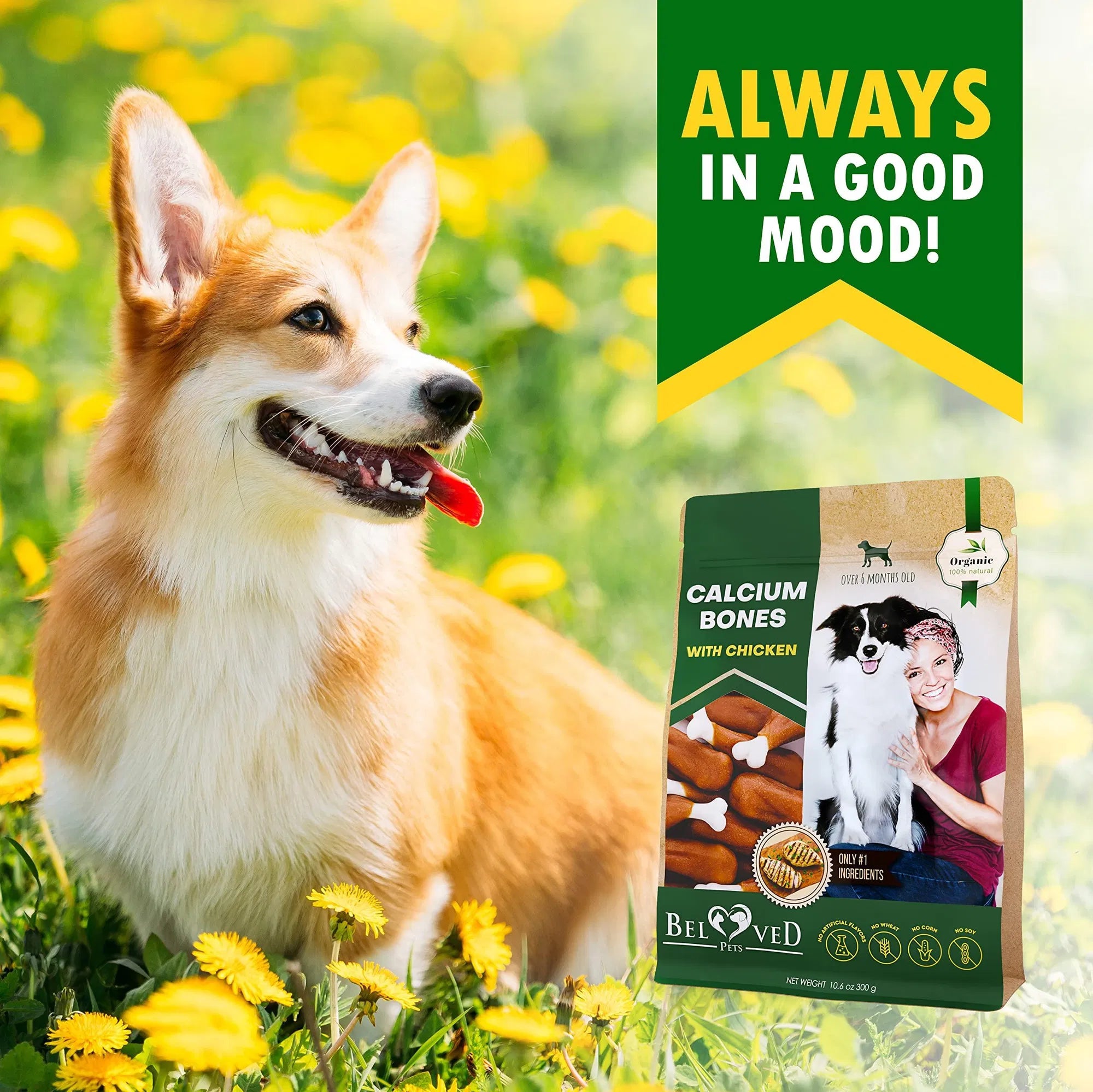 Dog Calcium Bones Wrapped Chicken & Rawhide Free Chew Treats Pet Healthy Dried Snacks Grain Free Organic Meat Chews For Training Small Large Dogs - 5 - CJ