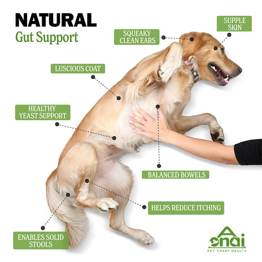 OEM Hot Sales Probiotics Chews For Pets Customized Shape - 5 - CJ