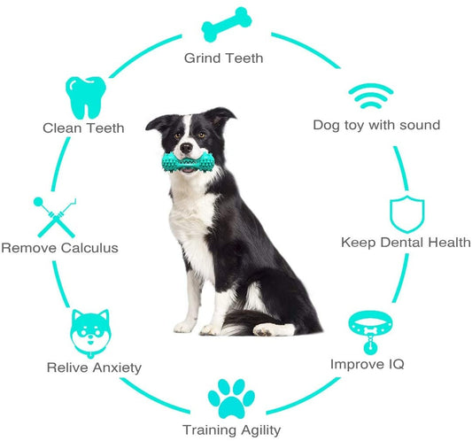 Pet Dog Cleaning Chew Toys For Aggressive Dogs Rubber Molar - 5 - CJ