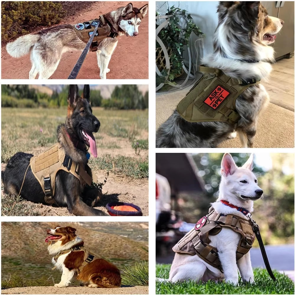 Pet Harness Luxury Dog Leash Set Chest Dog  Nylon Camouflage Dog Harness - 5 - CJ