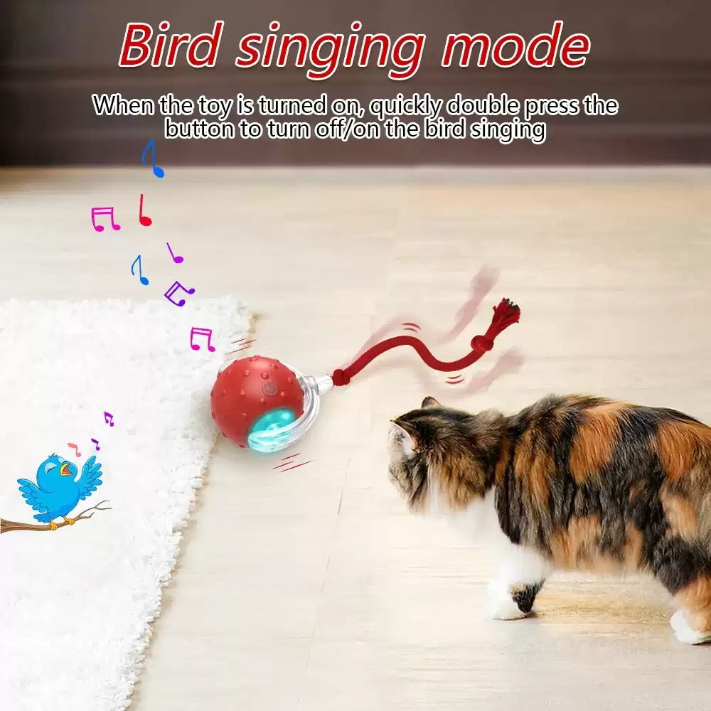 Interactive Cat Toy Ball Super Drive Cat Rolling Balls With - 0 - CJ