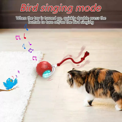 Interactive Cat Toy Ball Super Drive Cat Rolling Balls With - 0 - CJ