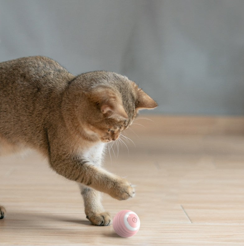 Automatic Moving Bouncing Rolling Ball Smart Cat Toy Ball Self - Moving Kitten Toy For Indoor Cat Kitten - 0 - CJ