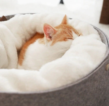 pet bed - 0 - CJ