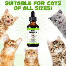 3 - in - 1 Probiotics For Cats With Prebiotic And Enzymes - 0 - CJ