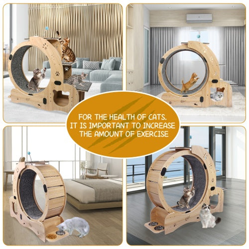 Cat Wheel 6 - in - 1 Cat Fitness Wheel - 5 - CJ