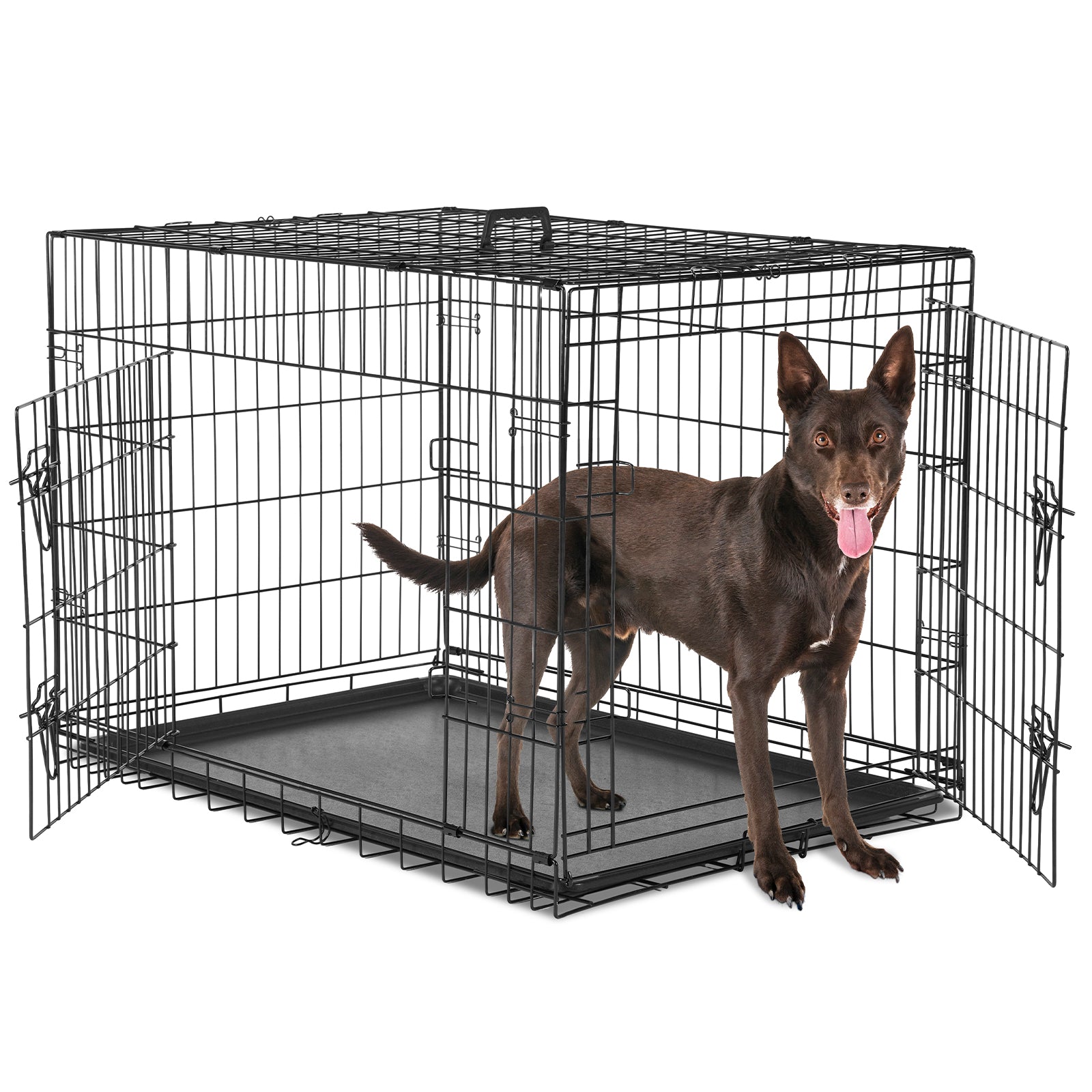 A Dog Cage With Two Doors - 5 - CJ