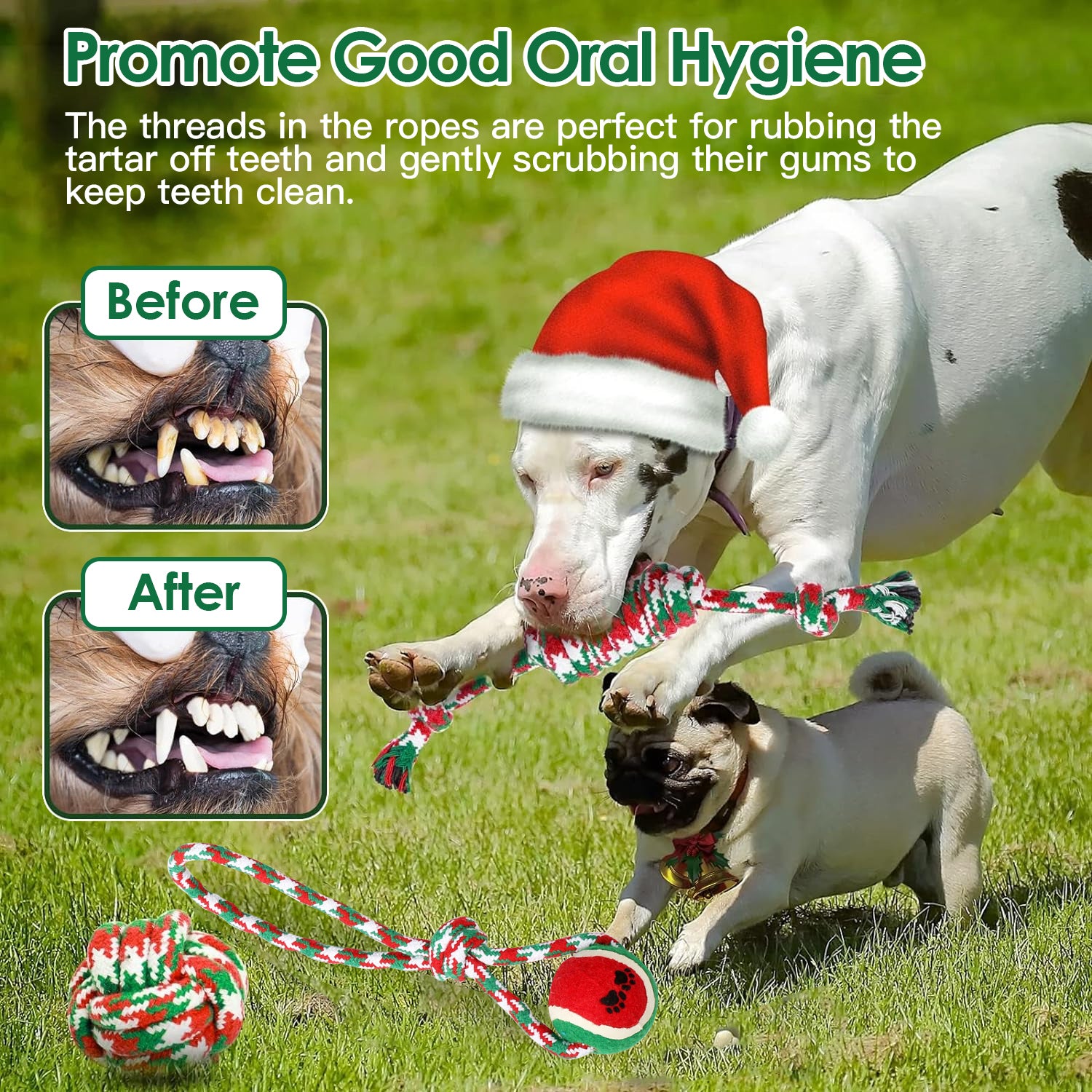 Set Of 5Pcs Christmas Dog Rope Chew Toys Dog Interactive Toys Set For Puppy Small Medium Aggressive Chewers Dogs Training Teething Playing - 5 - CJ