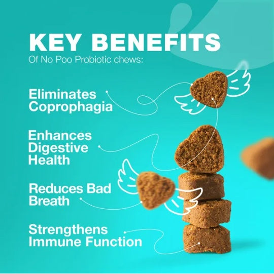 No Poo Chews For Dogs Coprophagia Deterrent For Dogs Forbid For Dogs Stool Eating Deterrent Dog Probiotics For Digestive Health Digestive Gut Immune Health Treats No Poop Eating For Dogs - 5 - CJ