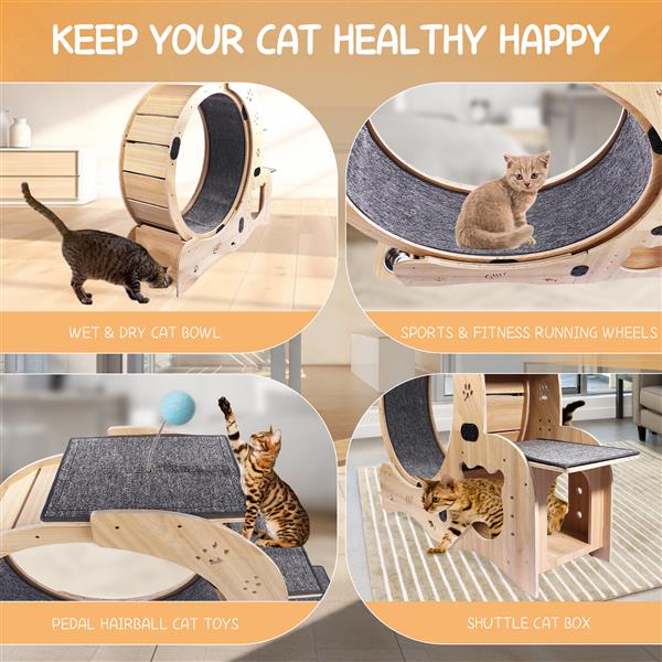 Cat Wheel 6 - in - 1 Cat Sports Wheel, Upgraded Indoor Cat Wheel Sports Device - 5 - CJ