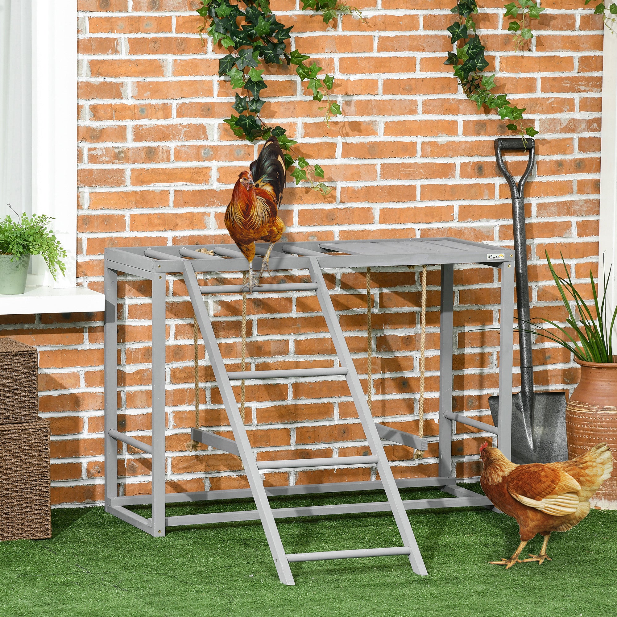 Chicken Activity Game With Swing Set For 3 - 4 Birds, Wooden Chicken Coop Accessory With Multiple Chicken Perches And Hen Ladder Grey - 5 - CJ