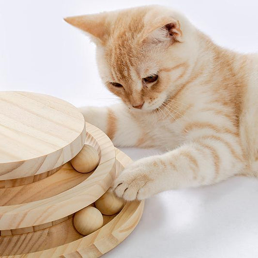 Indoor Cat Soft Scratching Board And Interactive Ball Track Toy Cat Rest And Grooming Supplies - 5 - cjdroshippping