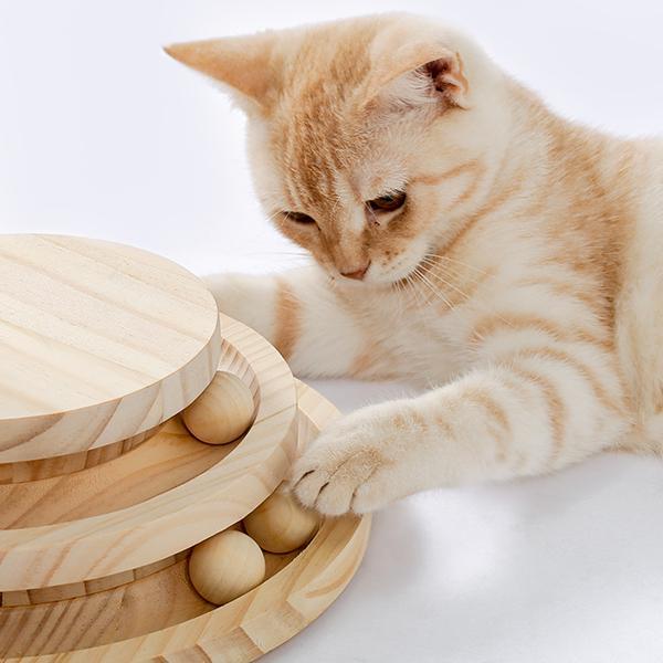 Indoor Cat Soft Scratching Board And Interactive Ball Track Toy Cat Rest And Grooming Supplies - 5 - cjdroshippping